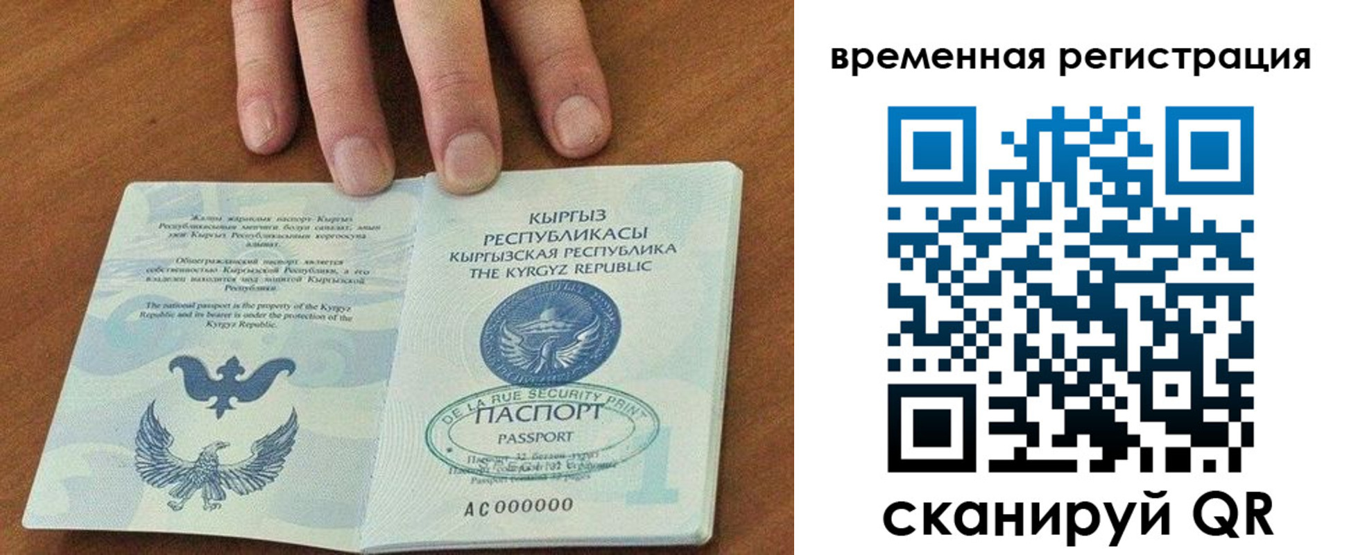 где прописаться в Мариинском Посаде